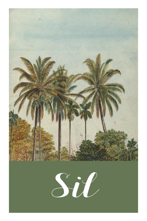 Botanisch geboortekaartje met palmbomen en witte rand