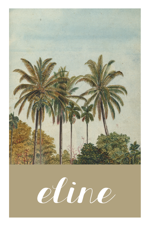 Botanisch geboortekaartje met palmen en witte rand