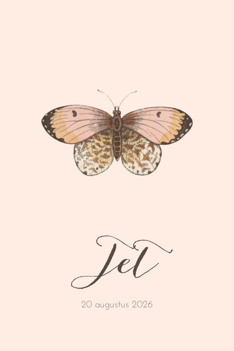 Hip geboortekaartje met roze vlinder en sierlijke letters