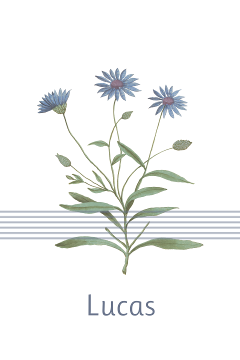 Geboortekaartje met grafische elementen en blauwe bloemen
