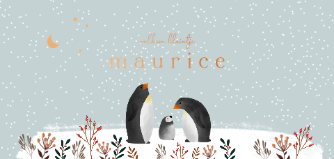 Winters geboortekaartje met pinguïns en sneeuw