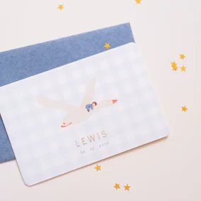 foliekaartje geboortekaartje witte gans baby blauwe ruitjes